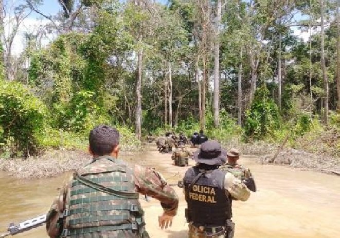 Operação desocupa garimpo e PF acha maquinário enterrado; veja os vídeos