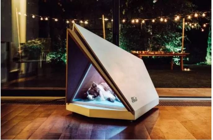 Ford cria casinha de cachorro que bloqueia barulho de fogos de artifício