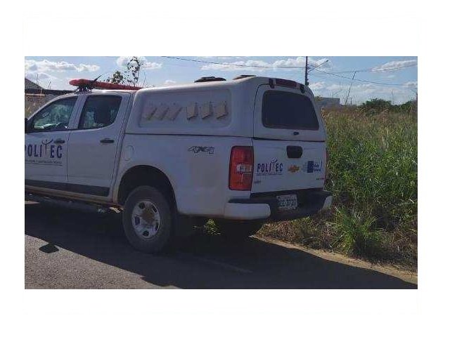 Ossada humana é encontrada enterrada debaixo de árvore em MT