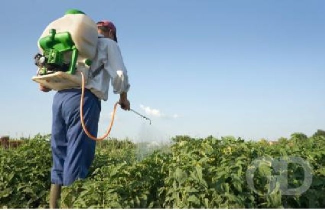 Estudante de MT cria produto que detecta agrotóxico na água