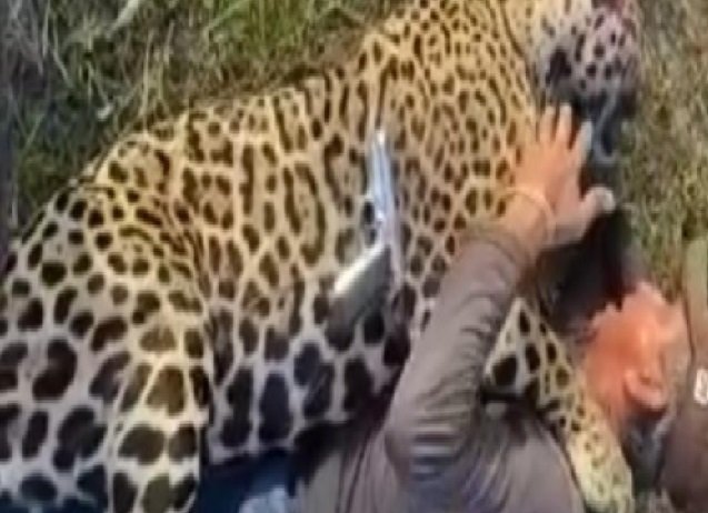 Polícia procura homem que mata e zomba de onça; veja vídeo