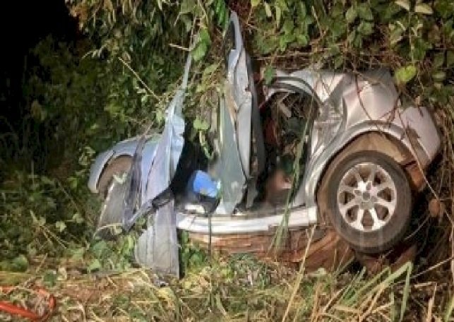 Quatro pessoas morrem após carro bater em árvore em rodovia de MT