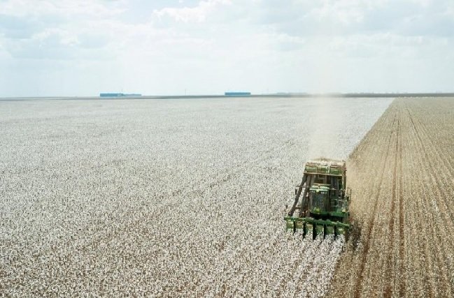 FCO disponibiliza R$ 320 milhões em crédito para setores empresarial e rural de Mato Grosso
