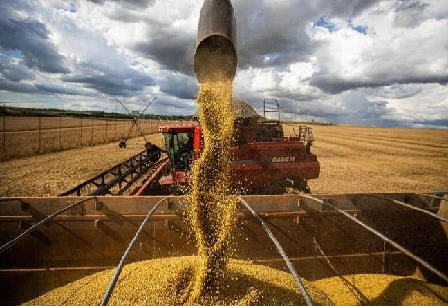 Produção agrícola deve chegar a 269,3 milhões de toneladas, diz Conab
