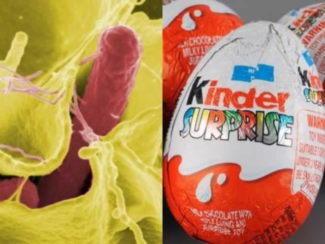 Ministério pede retirada do Kinder Ovo após casos de contaminação