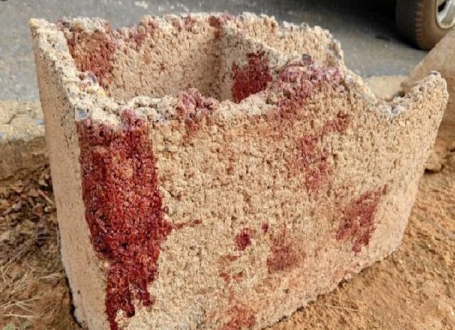 Mulher encontra homem espancado e com rosto desfigurado no quintal de casa