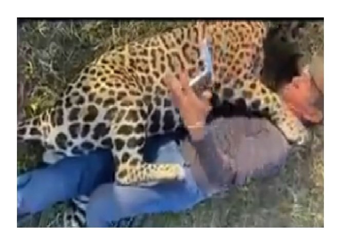 Polícia Civil cumpre mandado de prisão contra fazendeiro que matou onça-pintada