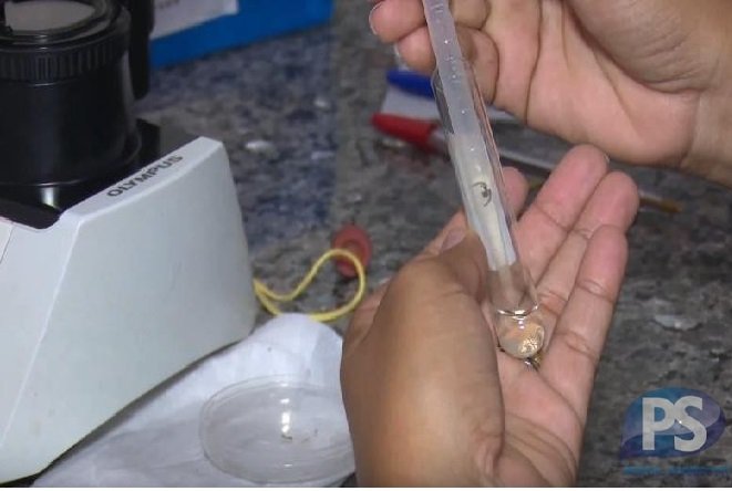 Casos de dengue em todo o país aumentam 95% em relação a 2021