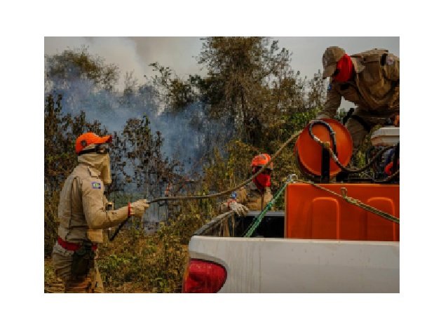 Mato Grosso decreta emergência ambiental a partir do mês de maio