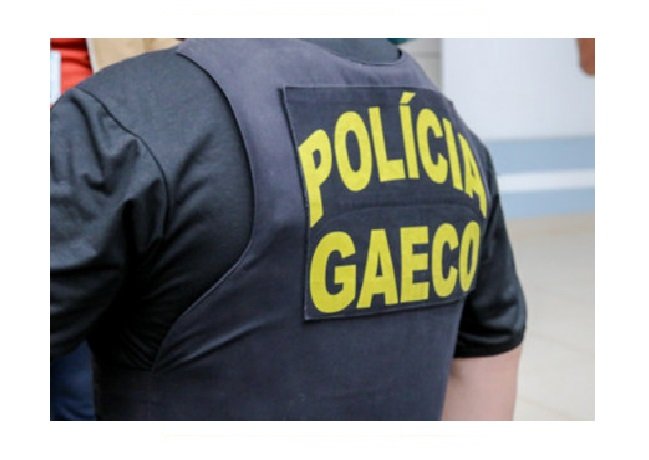 Gaeco desmonta esquema de desvio e adulteração de agrotóxicos