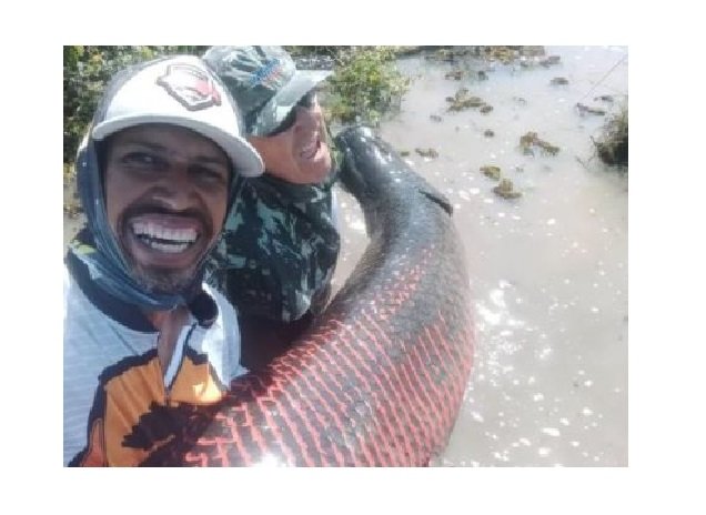 Empresário fisga pirarucu gigante de 150 kg no Teles Pires