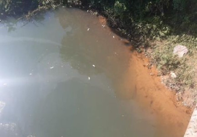 Peixes mutilados são vistos em rio e Sema notifica Usina