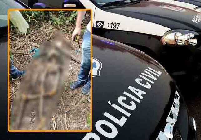 Policia Civil encontra cadáver em assentamento após denúncia anônima