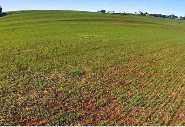 Grupo em recuperação terá fazenda leiloada; lance é de R$ 5,3 milhões