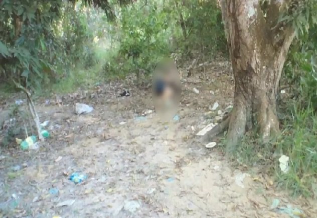 Dois corpos de homens mortos a tiros são encontrados pela polícia