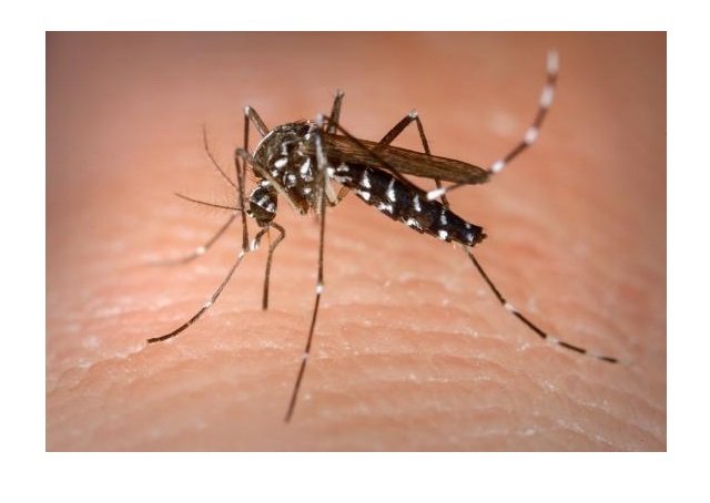 Casos de dengue aumentam 128% em Mato Grosso