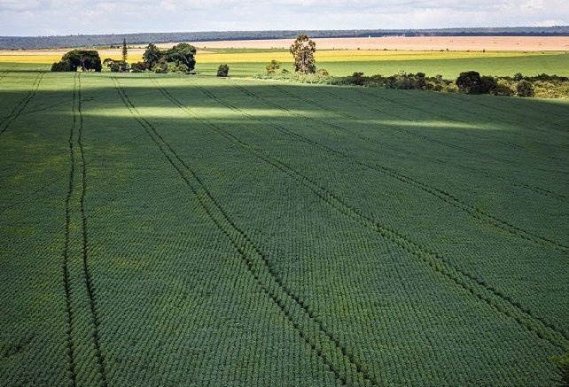 Brasil negocia aumento da importação de potássio da Jordânia