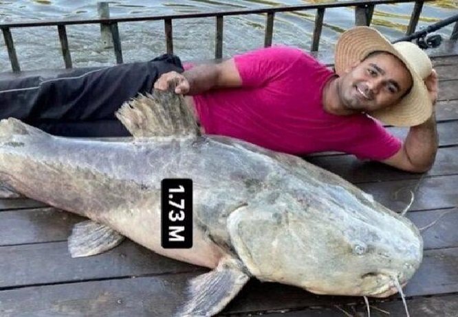 Empresário de MT trava 'briga' com jaú de 150 kg e depois devolve animal ao rio