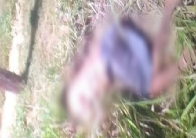 Homem é encontrado morto em estrada em Guarantã do Norte