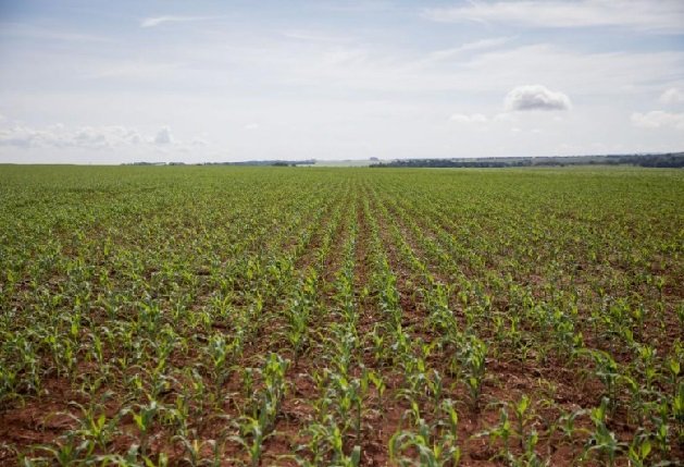 FCO oferta R$ 546,8 milhões em linhas de crédito para empresários e produtores rurais de MT