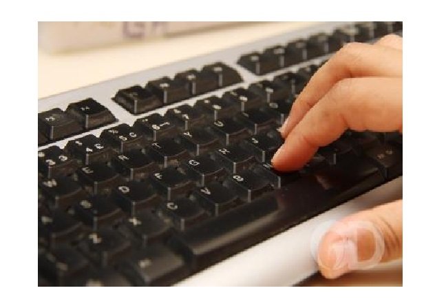 Empresa abre 30 vagas em home office e aposta na diversidade regional