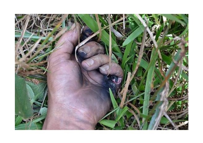 Homem morre eletrocutado e é achado dias depois, em decomposição