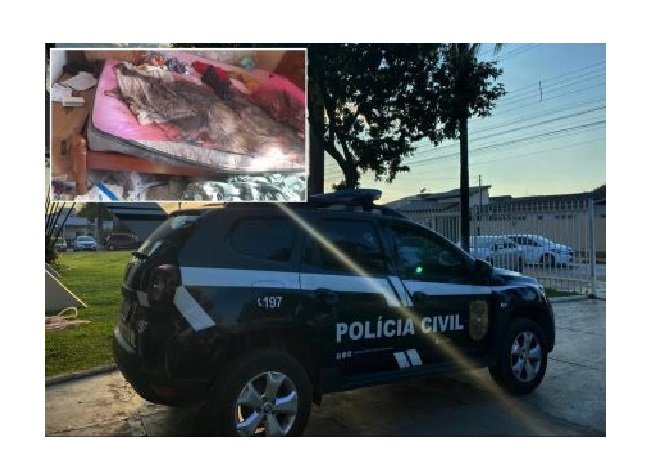 Idosa é encontrada morta; filho conviveu com corpo por 10 dias