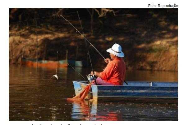 Mais de 12 mil licenças de pescadores profissionais são suspensas