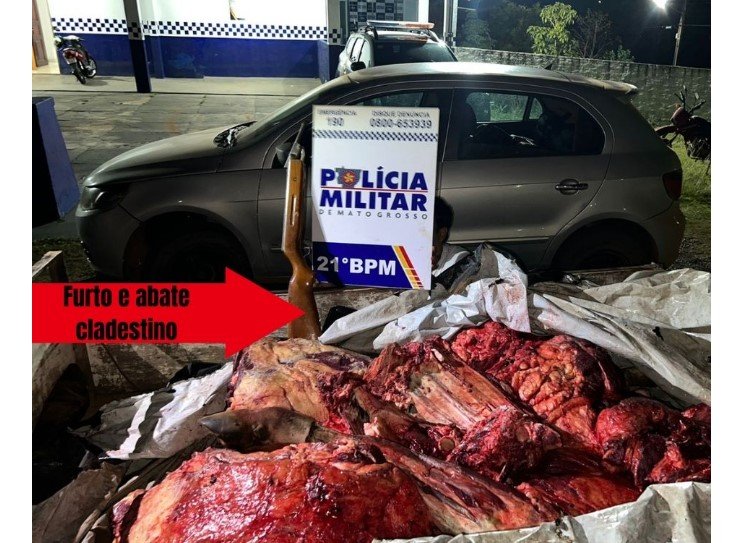 Veículo com bovino despedaçado em beira de estrada foi denunciado por moradores à PM de cidade do interior.