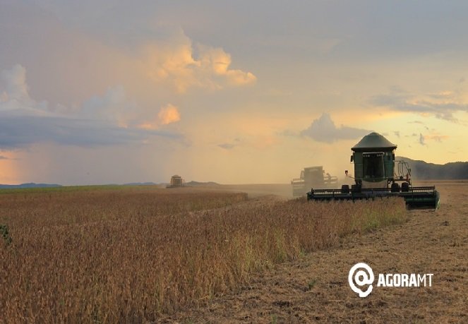 Área de soja ultrapassa 11,81 milhões de hectares em Mato Grosso
