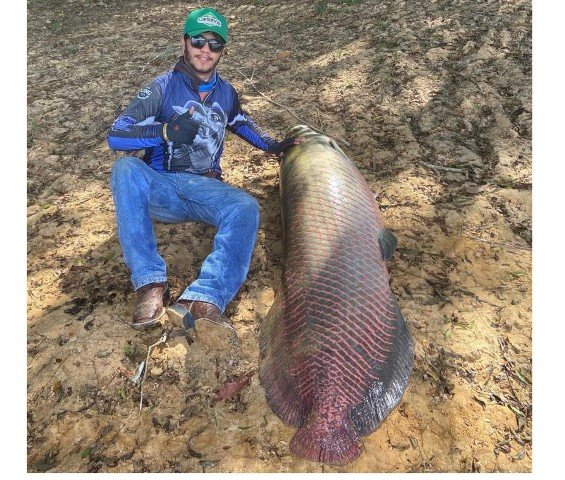 Bancário pesca peixe Pirarucu gigante no rio Teles Pires (ASSISTA O VÍDEO PEIXE SENDO FISGADO)