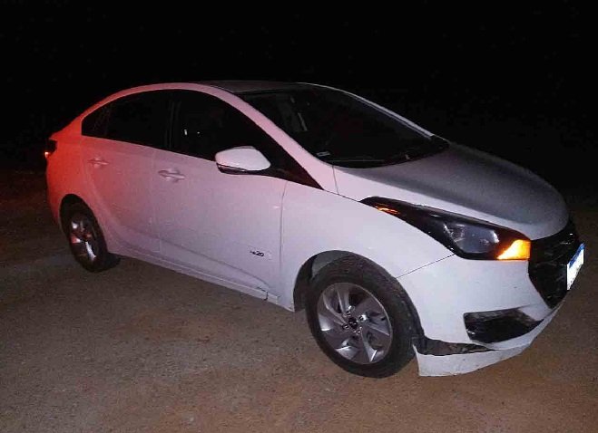 Motorista atropela capivara na MT-320 em Colíder