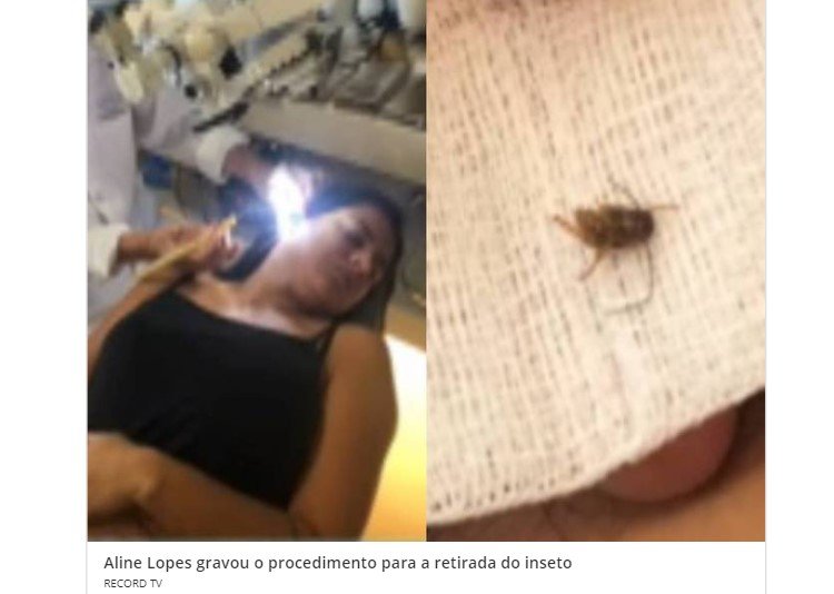 O que fazer se um inseto entrar no ouvido? Tentar retirá-lo pode ser pior