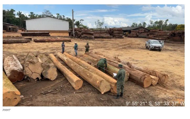 Batalhão Ambiental aplica multa de R$ 3,6 mil por desmate ilegal em MT