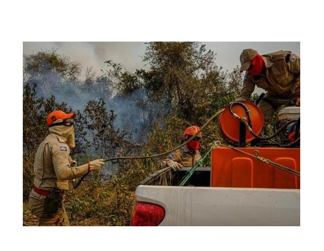 Período proibitivo do fogo começa em 1º de julho em MT