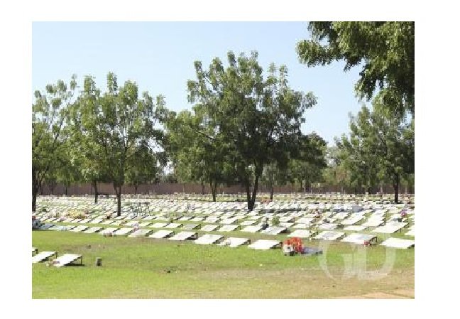 MT inicia julho com 15 mil óbitos pelo novo coronavírus