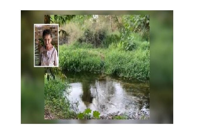 Idosa é encontrada morta após desaparecer há 14 dias