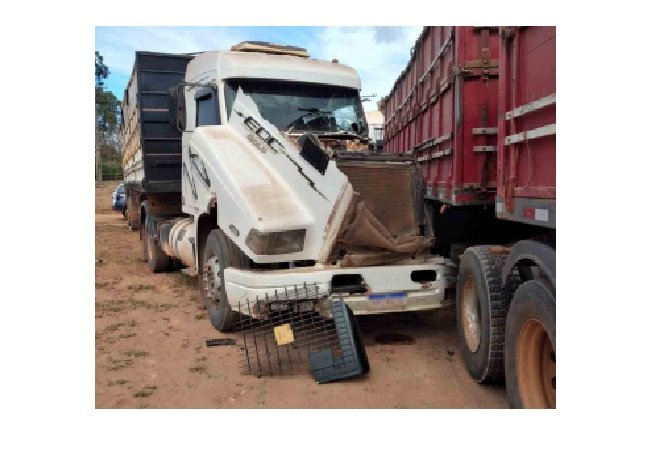 Colisão frontal entre carretas é registrado em Alta Floresta
