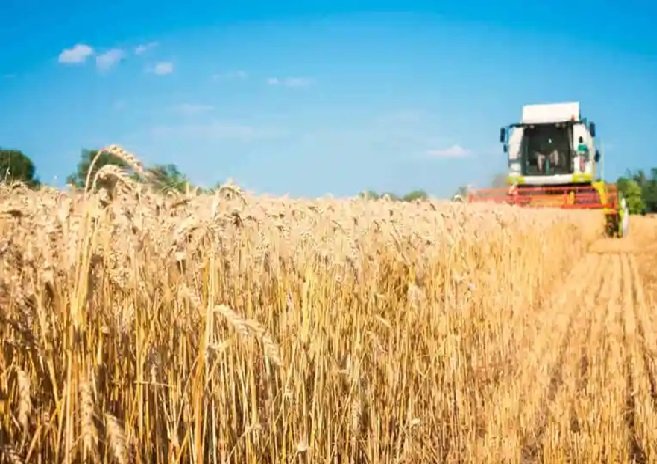 Desempenho do crédito rural alcança R$ 293,4 bi no fechamento da safra 2021/22