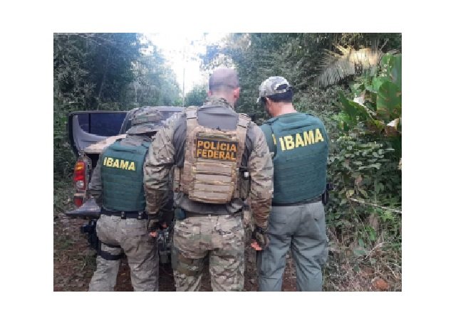 Caminhões com madeira são apreendidos em operação contra o desmatamento em Aripuanã