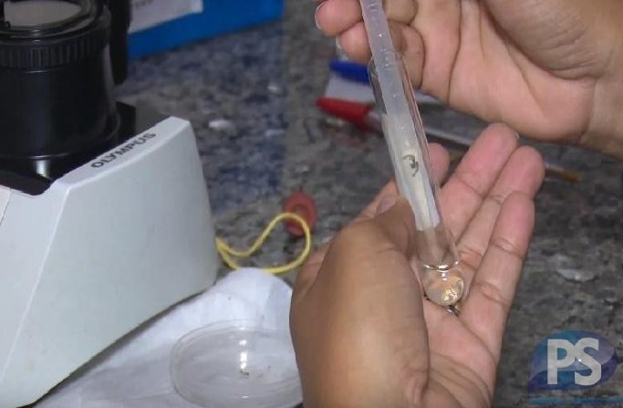 Número de mortes por dengue dispara 33% em Mato Grosso