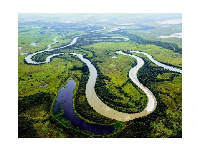 MT aprova lei que flexibiliza atividades agropecuárias no Pantanal