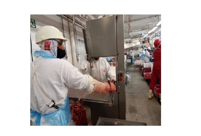 Inspeção do trabalho fiscaliza condições de saúde e segurança em frigoríficos e usinas de álcool de MT