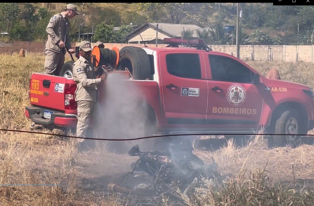 Proprietário rural em Colíder e notificado pelos Bombeiros e INDEA após colocar fogo em animal. (Vídeo)