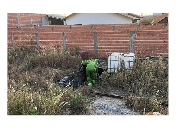 Três pessoas entre elas um bombeiro ficam feridas e dois cães morrem em ataque de abelhas