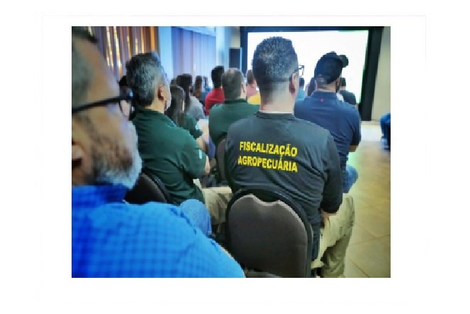 Simulação sobre casos de aftosa mobiliza técnicos de todos os estados em MT