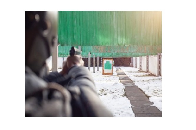 MPMT requer suspensão de 22 leis que flexibilizaram porte de arma