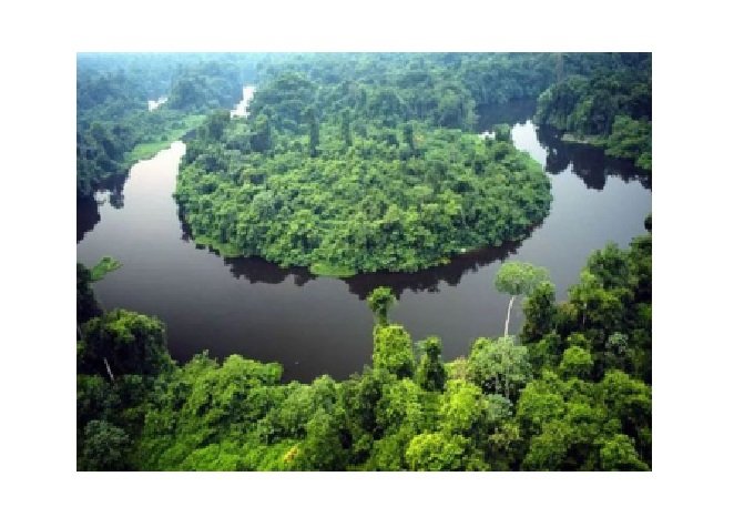 Justiça determina que MT revogue decreto que criou Parque do Cristalino