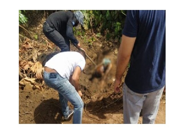 Vaqueiro encontra cadáver de homem em fazenda e aciona polícia em MT