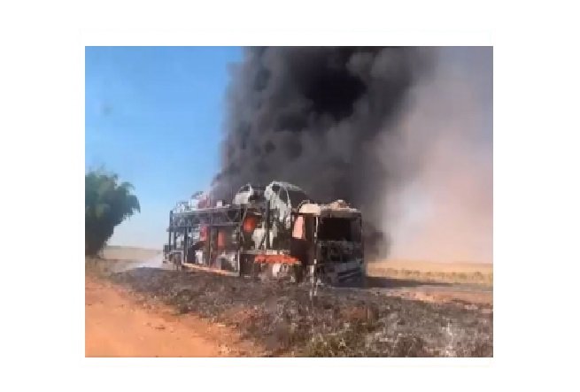 Caminhão-cegonha com 11 carros novos pega fogo em MT